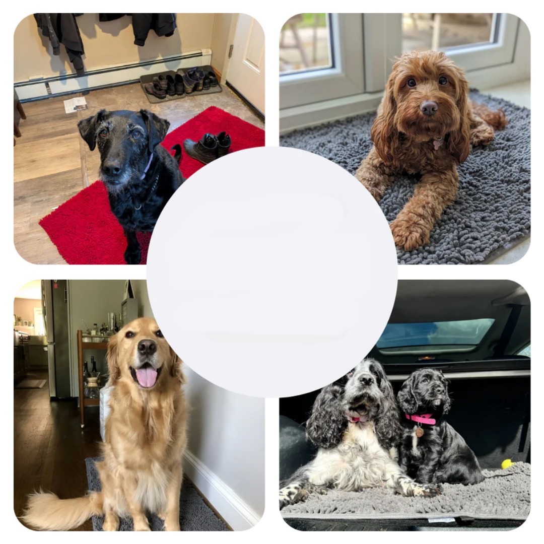 Superabsorberende hundemåtte – PawMat