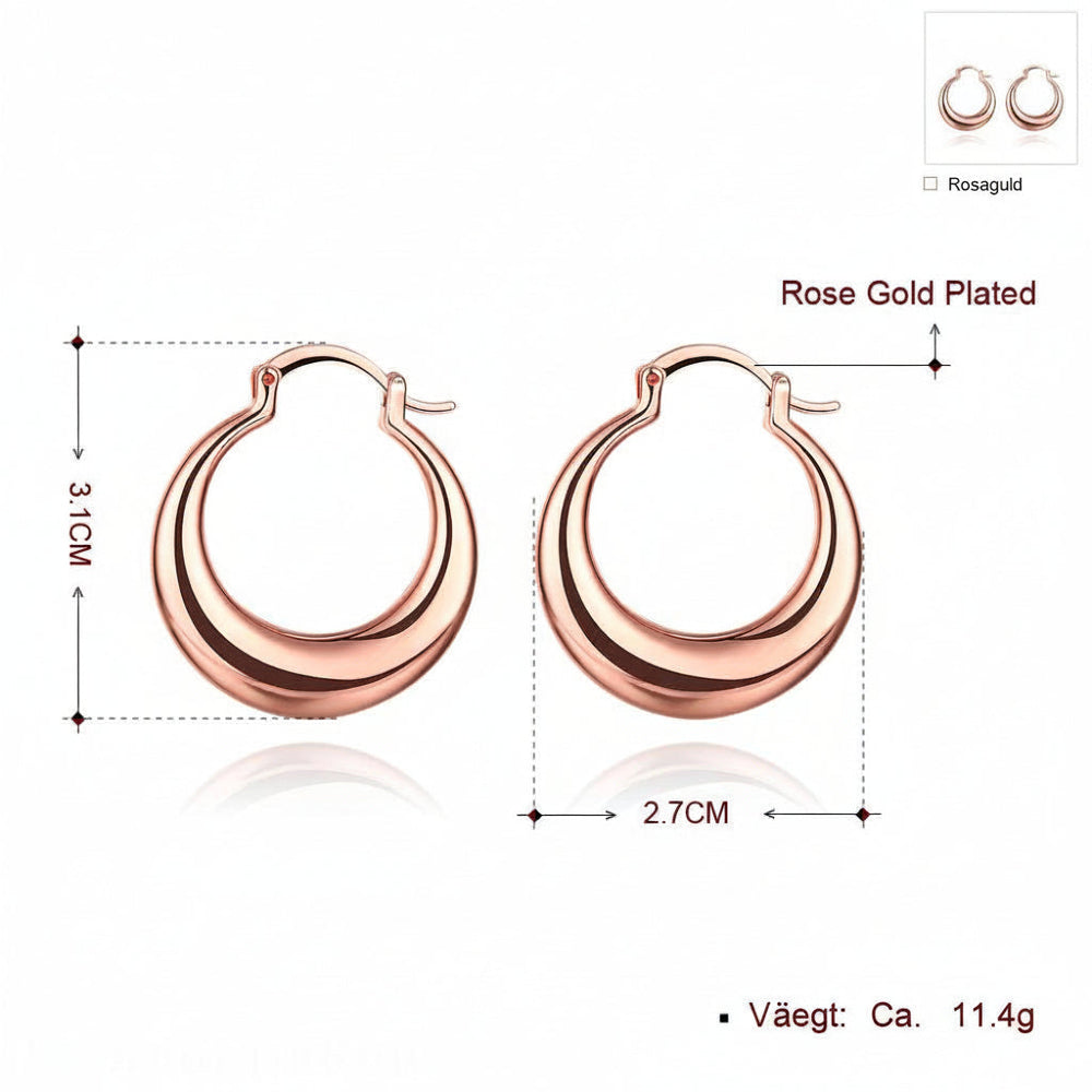 Fashionable Exaggerated Hoop Earrings