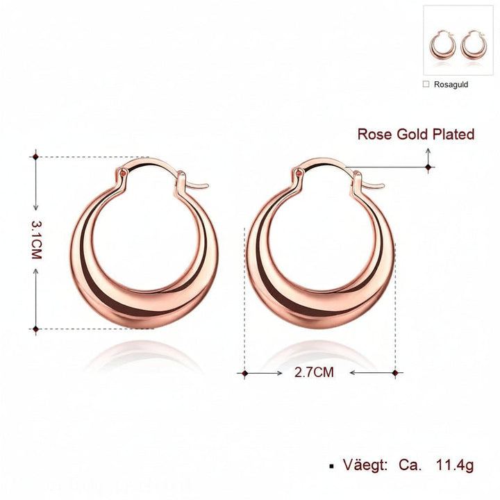 Fashionable Exaggerated Hoop Earrings