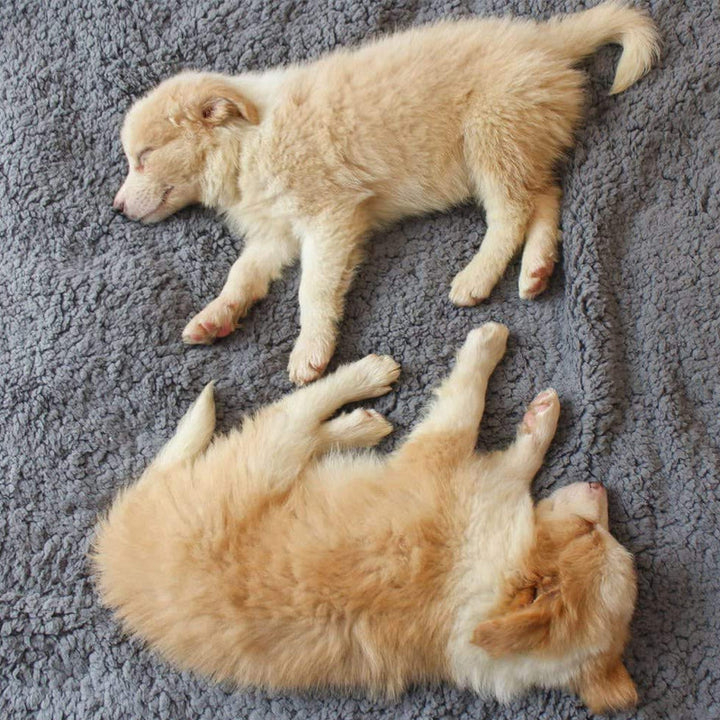 Bløde hvalpetæpper – SnuggleFur Fleece