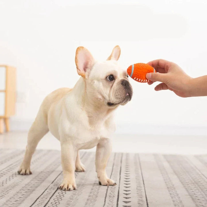 Den uødelæggelige legekammerat til hunde – KryptoChew