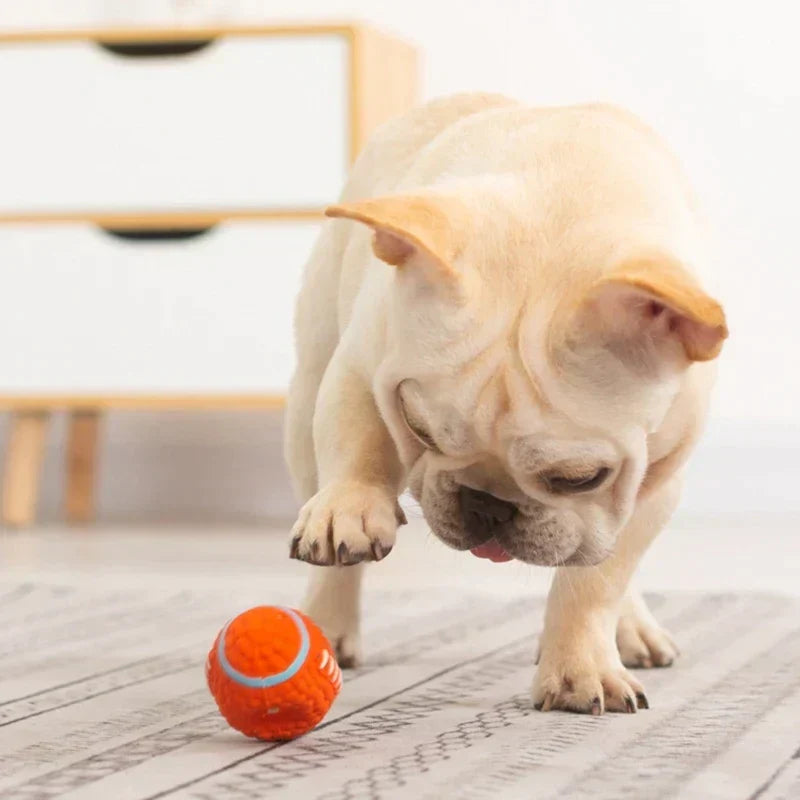 Den uødelæggelige legekammerat til hunde – KryptoChew