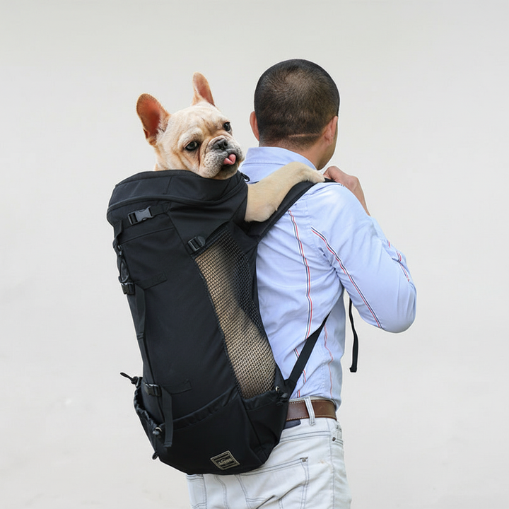 Ergonomisk bærerygsæk til hunde - CompanionPack