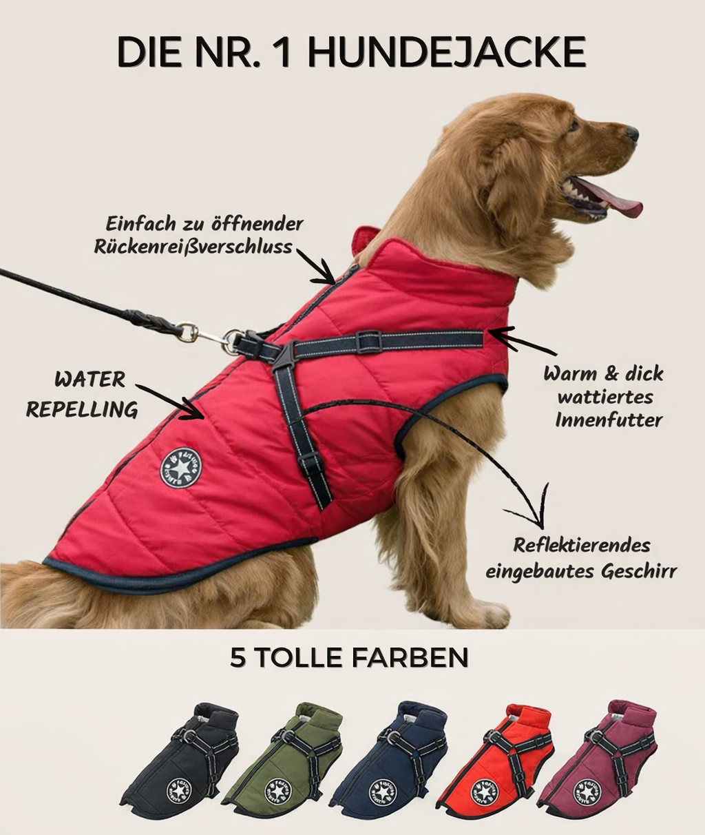 Hundejakke med indbygget sele, vindtæt, vandafvisende og reflekterende