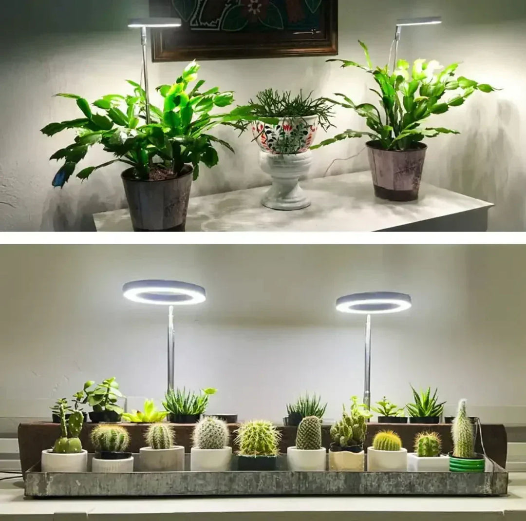 Fuldspektret LED-plantelampe med timer og dæmpefunktion