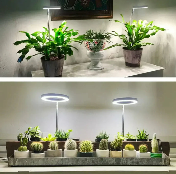 Fuldspektret LED-plantelampe med timer og dæmpefunktion