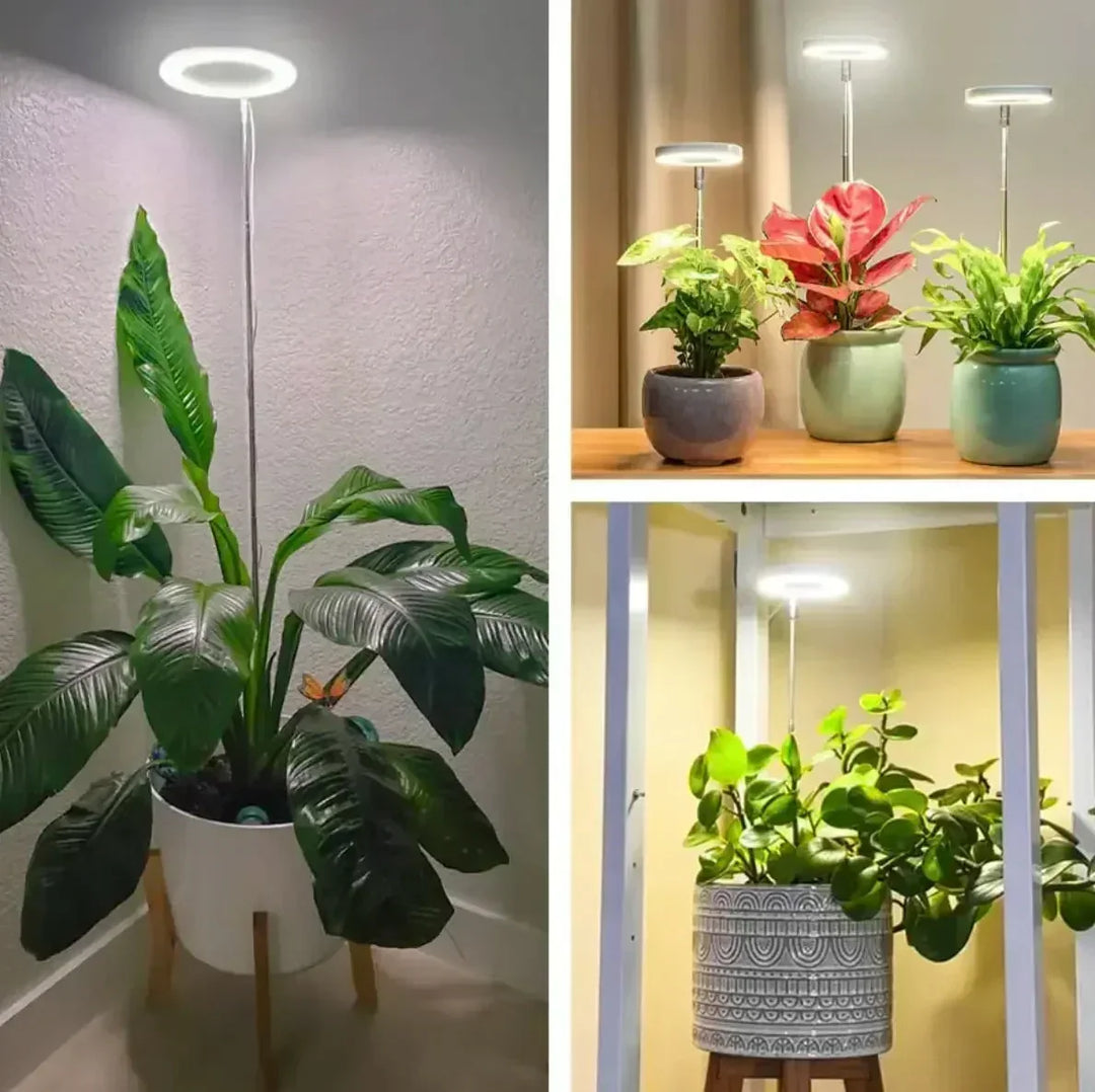 Fuldspektret LED-plantelampe med timer og dæmpefunktion