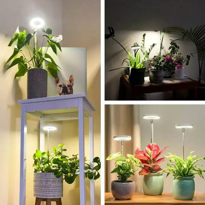 Fuldspektret LED-plantelampe med timer og dæmpefunktion