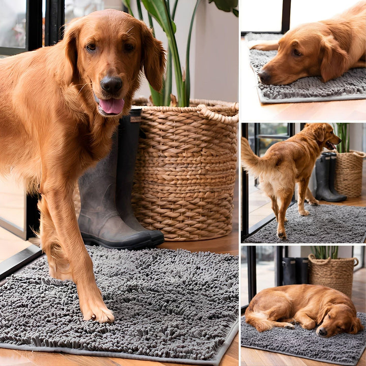 Absorberende skridsikker dørmåtte til hunde med beskidte poter