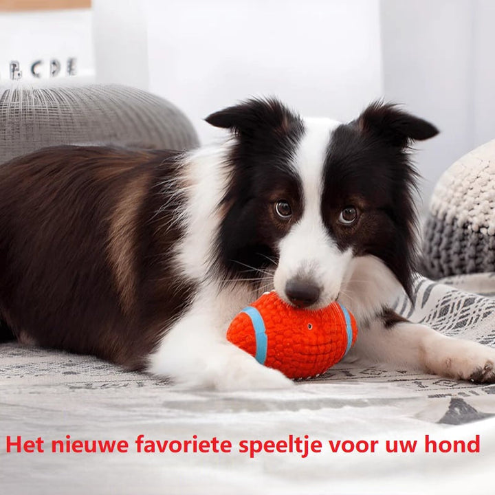 Den uødelæggelige legekammerat til hunde – KryptoChew
