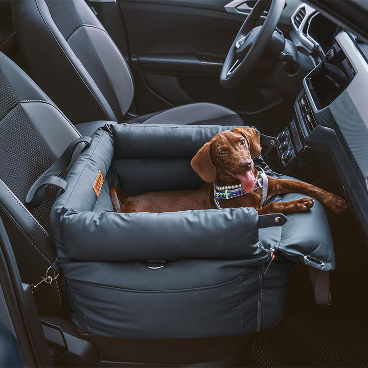 Komfortabel vinter-hundesele til bilen - PawLuxury