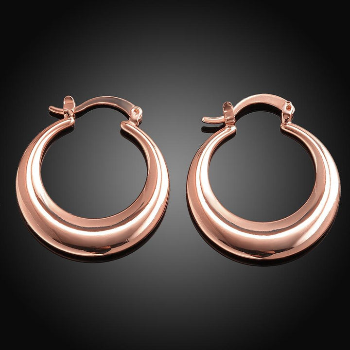 Fashionable Exaggerated Hoop Earrings