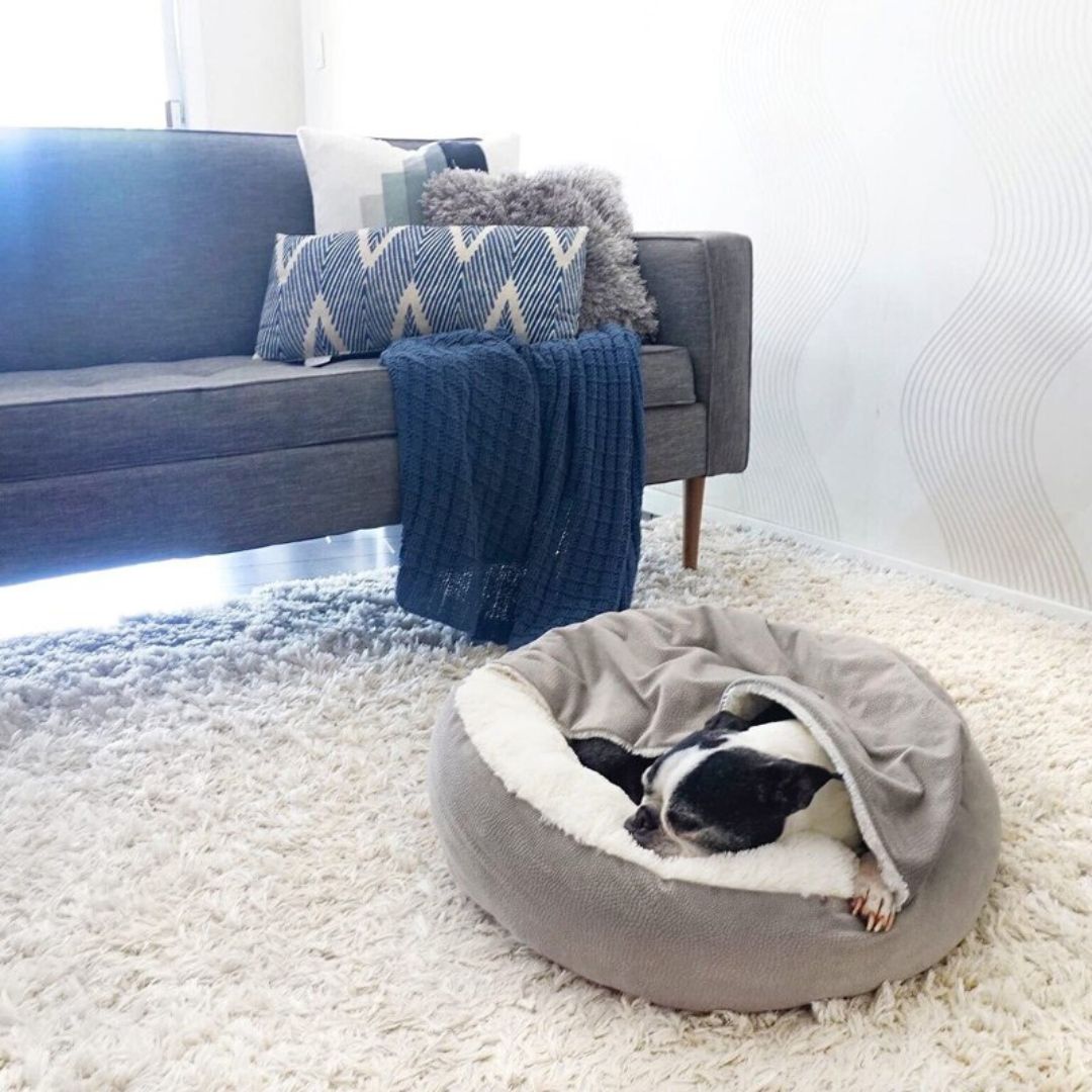 SnuggleNest Vinterhule til Hunde