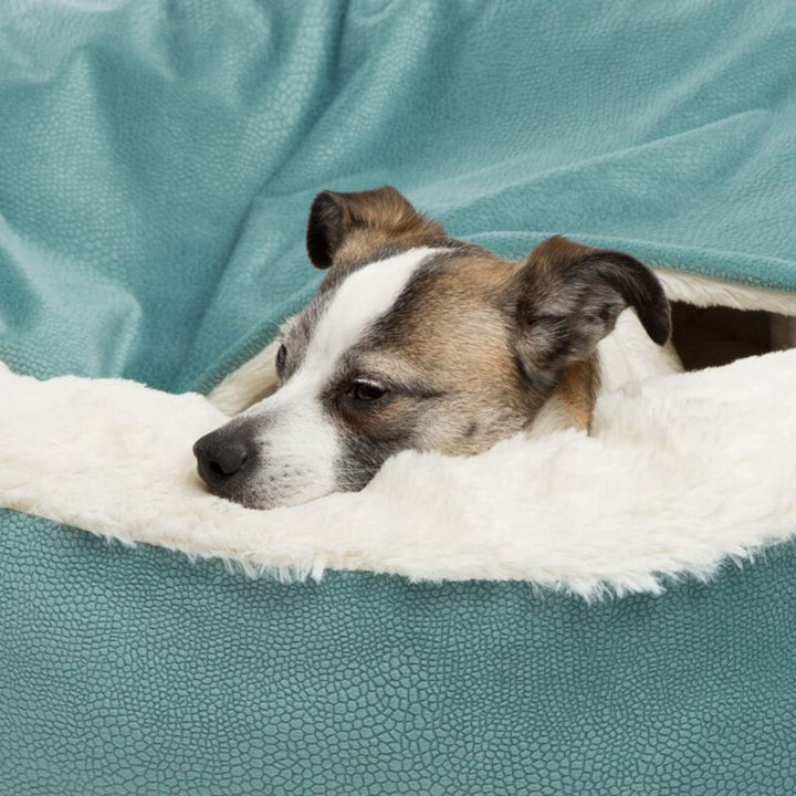 SnuggleNest Vinterhule til Hunde