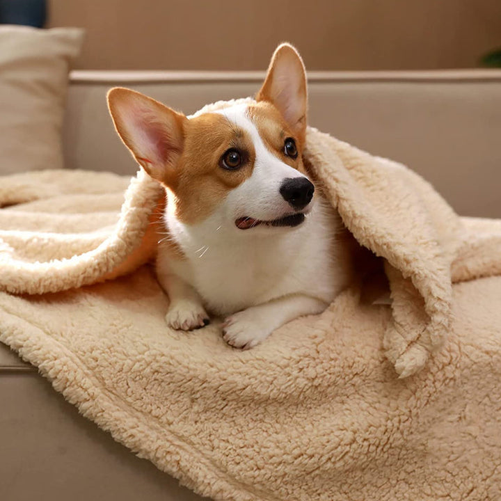 Bløde hvalpetæpper – SnuggleFur Fleece
