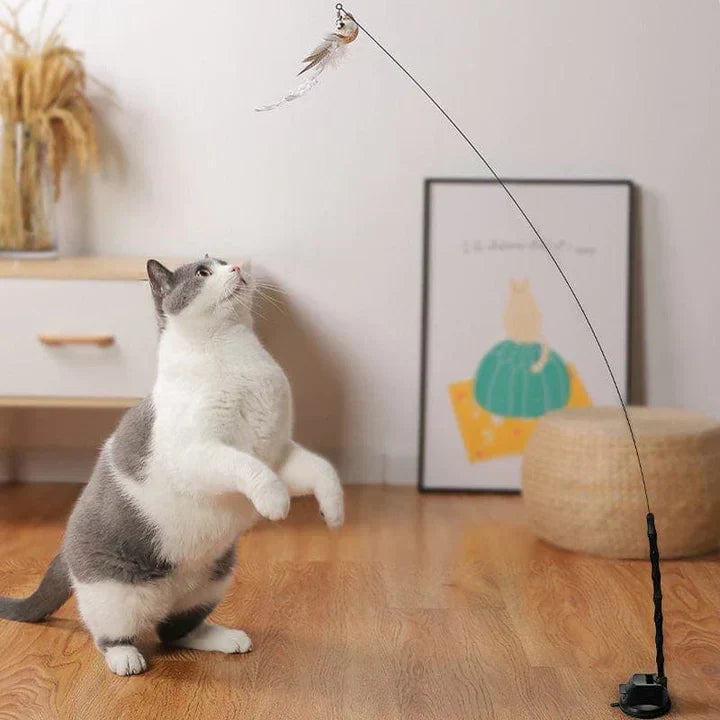 Interaktivt legetøj til katte - FlutterFriend