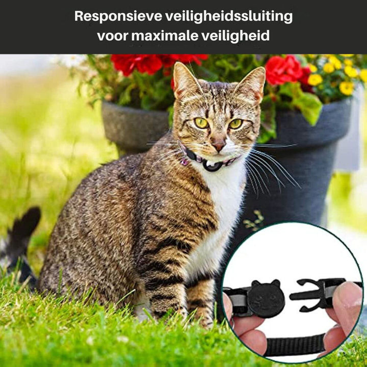 Katehalsbånd med sikkerhedslås - Milo