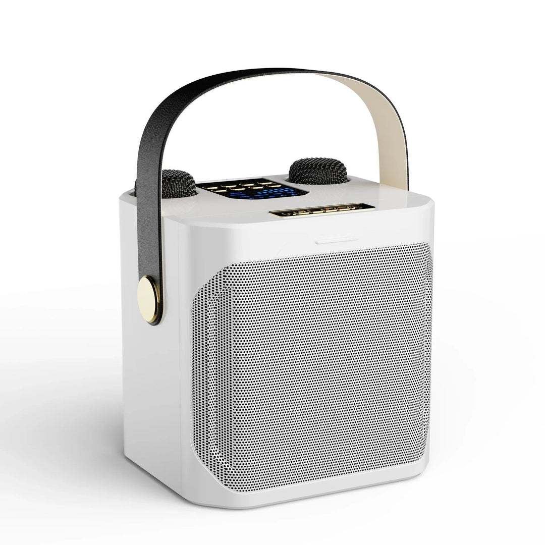 Kraftfuld bærbar karaoke-højttaler med Bluetooth - 360° surround