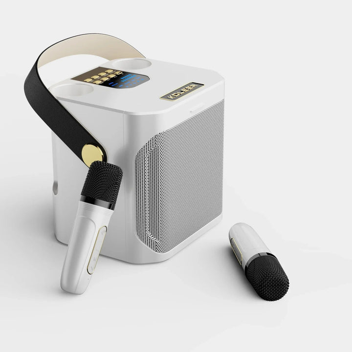 Kraftfuld bærbar karaoke-højttaler med Bluetooth - 360° surround