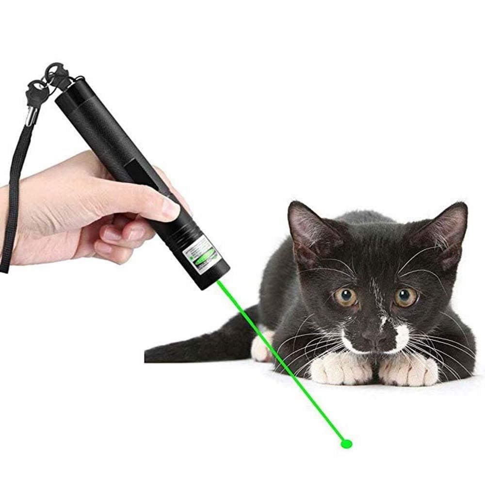 Kraftfuld laserpointer - PrecisionBeam