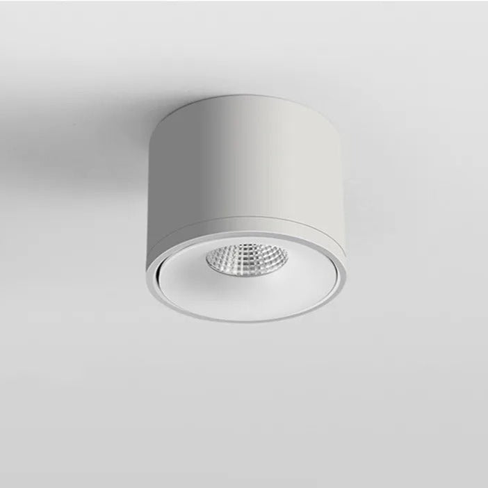 Loftmonteret retningsbestemt spot – drejelig moderne lampe