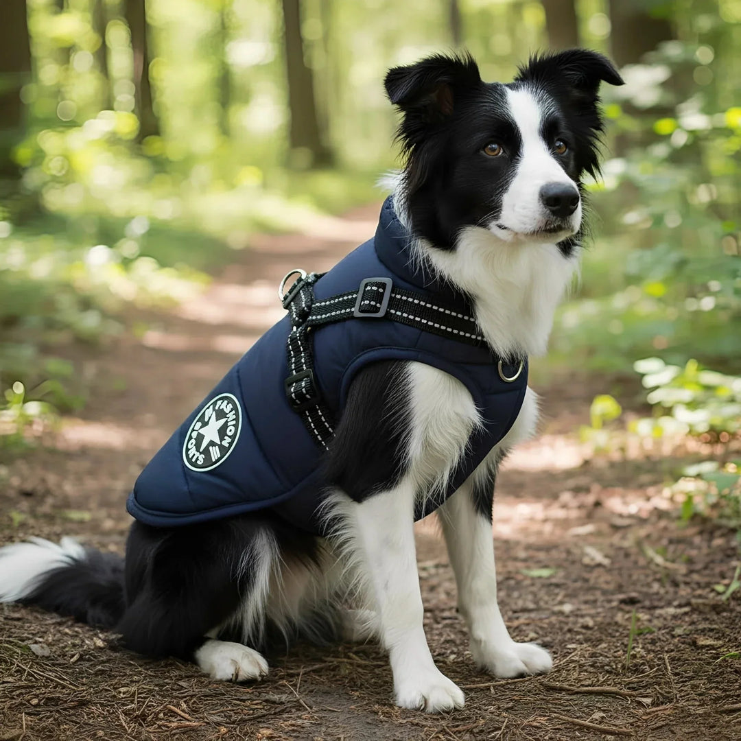 Vinterfrakke til hunde med indbygget sele, polstret og foret